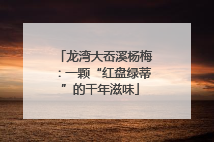 龙湾大岙溪杨梅：一颗“红盘绿蒂”的千年滋味