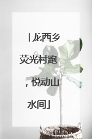 龙西乡荧光村跑，悦动山水间