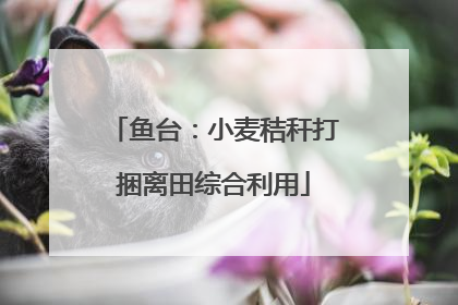 鱼台：小麦秸秆打捆离田综合利用