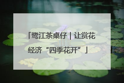 鹭江茶桌仔｜让赏花经济“四季花开”