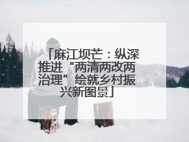 麻江坝芒：纵深推进“两清两改两治理”绘就乡村振兴新图景
