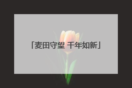 麦田守望 千年如新