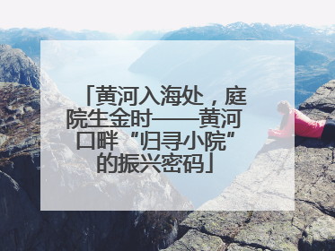 黄河入海处，庭院生金时——黄河口畔“归寻小院”的振兴密码
