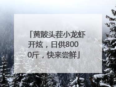 黄陂头茬小龙虾开炫，日供8000斤，快来尝鲜
