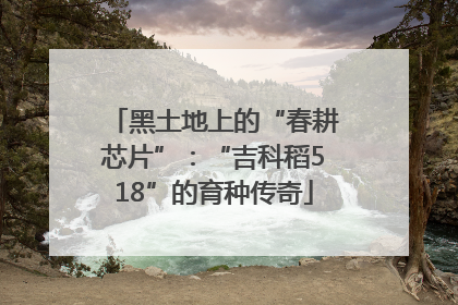 黑土地上的“春耕芯片”：“吉科稻518”的育种传奇
