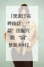 黑龙江省桦南县：“蒜”出振兴路 “园”梦新乡村