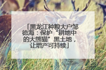 黑龙江种粮大户邹德海：保护“耕地中的大熊猫”黑土地，让增产可持续