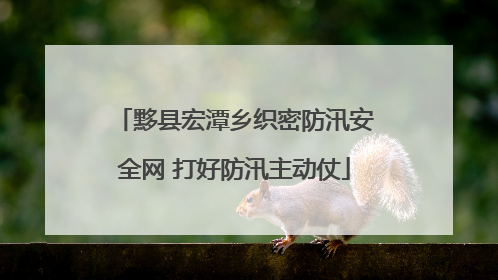黟县宏潭乡织密防汛安全网 打好防汛主动仗