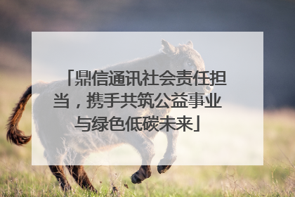 鼎信通讯社会责任担当，携手共筑公益事业与绿色低碳未来