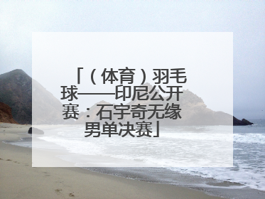 （体育）羽毛球——印尼公开赛：石宇奇无缘男单决赛