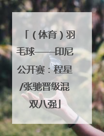 （体育）羽毛球——印尼公开赛：程星/张驰晋级混双八强
