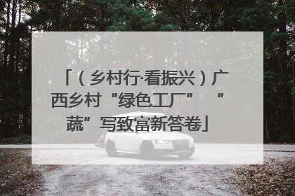 （乡村行·看振兴）广西乡村“绿色工厂” “蔬”写致富新答卷