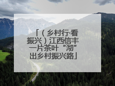 （乡村行·看振兴）江西信丰一片茶叶“沏”出乡村振兴路