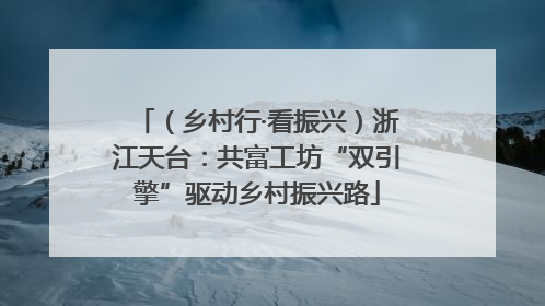 （乡村行·看振兴）浙江天台：共富工坊“双引擎”驱动乡村振兴路