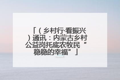 （乡村行·看振兴）通讯：内蒙古乡村公益岗托底农牧民“稳稳的幸福”
