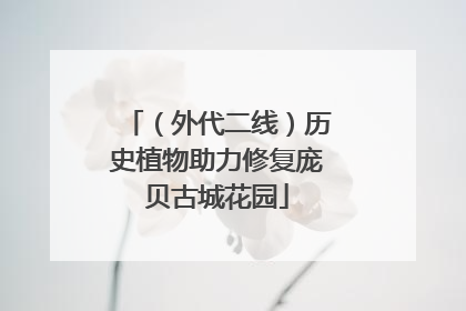（外代二线）历史植物助力修复庞贝古城花园