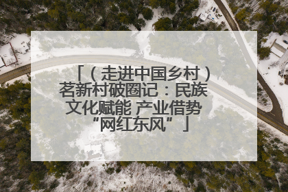 （走进中国乡村）茗新村破圈记：民族文化赋能 产业借势 “网红东风”