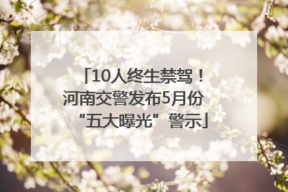 10人终生禁驾！河南交警发布5月份“五大曝光”警示