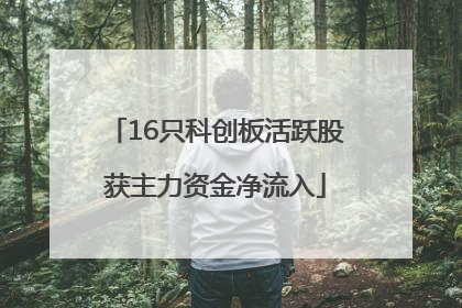 16只科创板活跃股获主力资金净流入