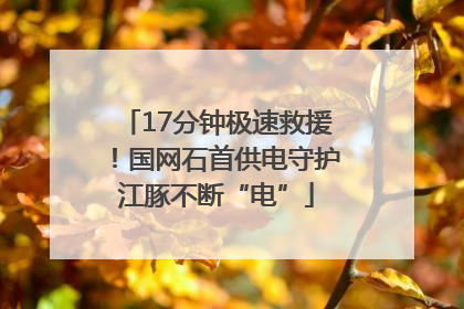 17分钟极速救援！国网石首供电守护江豚不断“电”