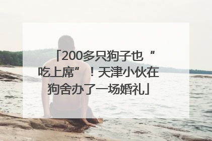 200多只狗子也“吃上席”！天津小伙在狗舍办了一场婚礼