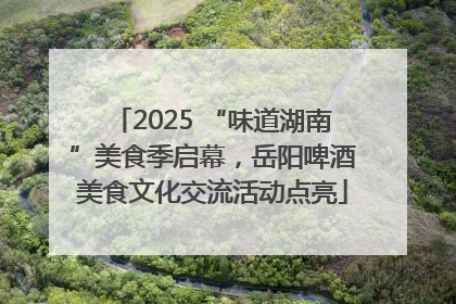 2025 “味道湖南”美食季启幕，岳阳啤酒美食文化交流活动点亮