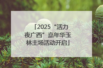 2025“活力夜广西”嘉年华玉林主场活动开启