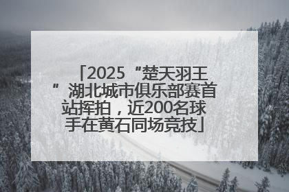 2025“楚天羽王”湖北城市俱乐部赛首站挥拍，近200名球手在黄石同场竞技