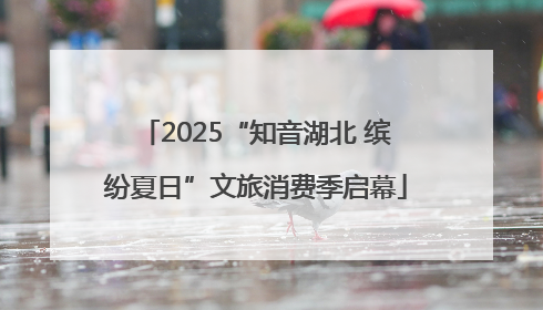 2025“知音湖北 缤纷夏日”文旅消费季启幕