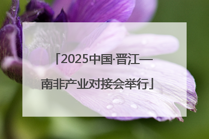 2025中国·晋江—南非产业对接会举行