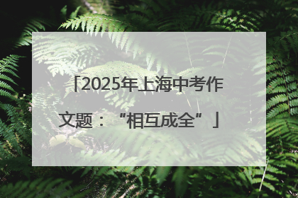 2025年上海中考作文题：“相互成全”