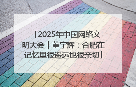 2025年中国网络文明大会｜董宇辉：合肥在记忆里很遥远也很亲切