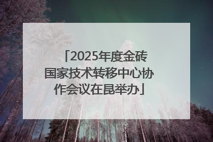 2025年度金砖国家技术转移中心协作会议在昆举办