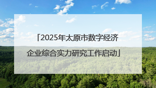 2025年太原市数字经济企业综合实力研究工作启动
