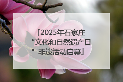 2025年石家庄“文化和自然遗产日”非遗活动启幕