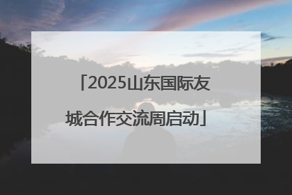 2025山东国际友城合作交流周启动
