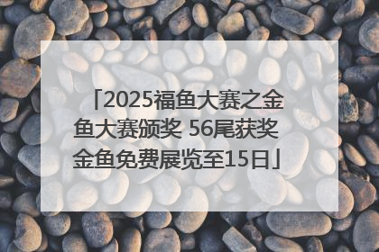 2025福鱼大赛之金鱼大赛颁奖 56尾获奖金鱼免费展览至15日