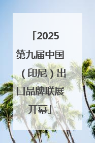 2025第九届中国（印尼）出口品牌联展开幕