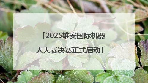 2025雄安国际机器人大赛决赛正式启动