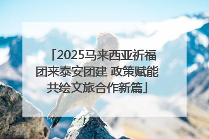 2025马来西亚祈福团来泰安团建 政策赋能共绘文旅合作新篇