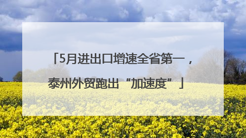 5月进出口增速全省第一，泰州外贸跑出“加速度”
