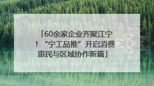 60余家企业齐聚江宁！“宁工品推”开启消费惠民与区域协作新篇