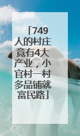 749人的村庄竟有4大产业，小官村一村多品铺就富民路