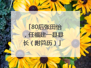 80后张田怡，任福建一县县长（附简历）