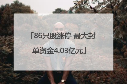86只股涨停 最大封单资金4.03亿元