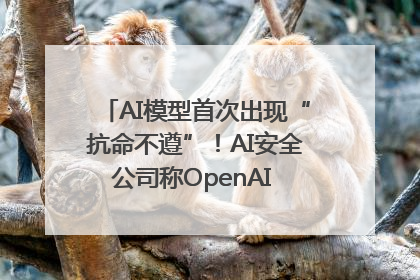 AI模型首次出现“抗命不遵”！AI安全公司称OpenAI o3模型出现异常