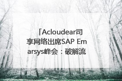 Acloudear司享网络出席SAP Emarsys峰会：破解流量困局，驱动精准增长