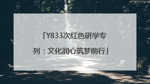 Y833次红色研学专列：文化润心筑梦前行